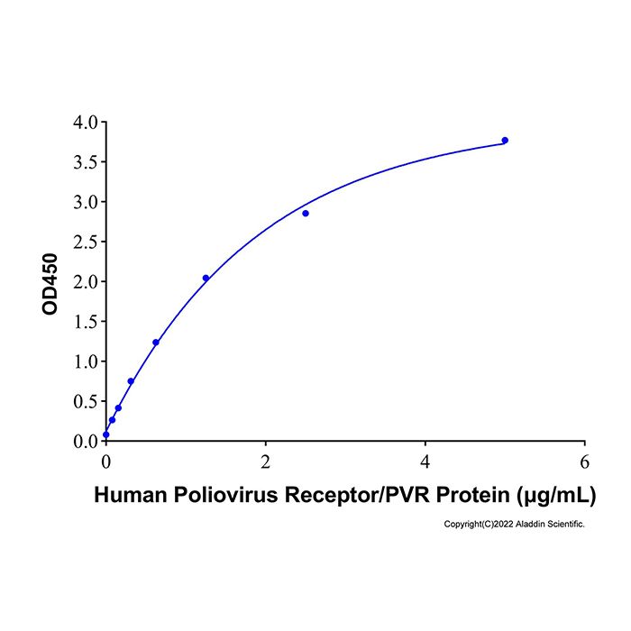 Recombinant Human Poliovirus Receptor/PVR Protein