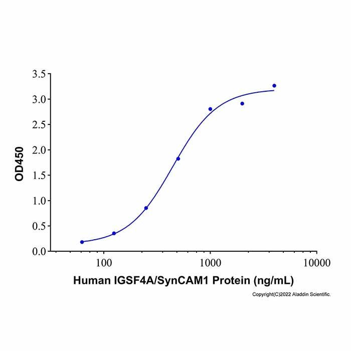 Recombinant Human IGSF4A/SynCAM1 Protein