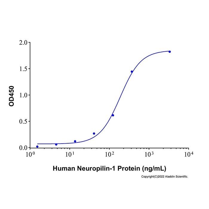 Recombinant Human Neuropilin-1 Protei