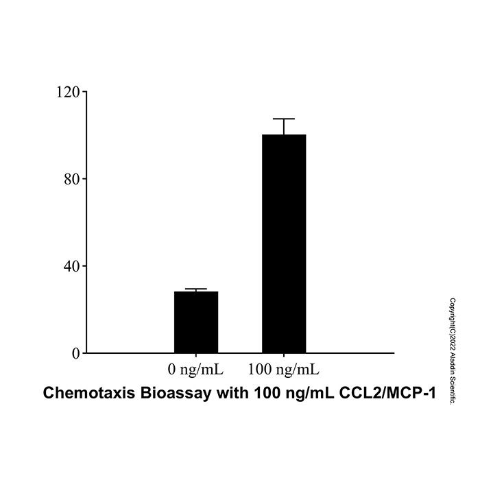 Recombinant Human CCL2/MCP-1 Protein