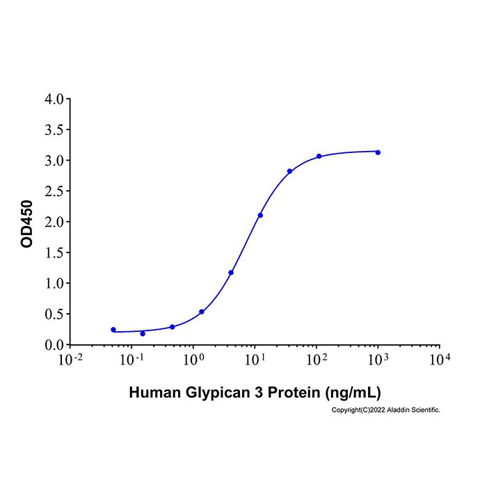 Recombinant Human Glypican 3 Protein