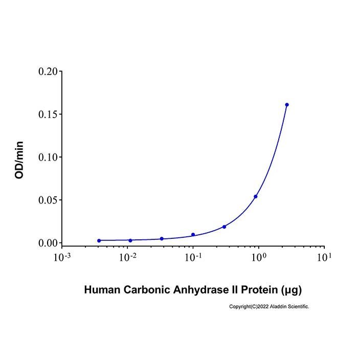 Recombinant Human Carbonic Anhydrase II Protein
