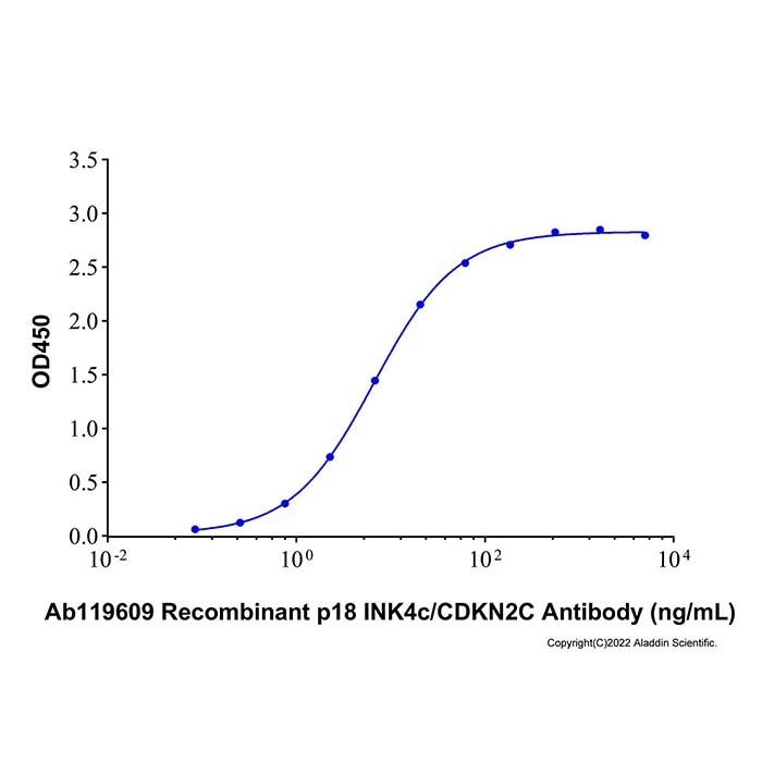 Recombinant Human p18 INK4c/CDKN2C Protein