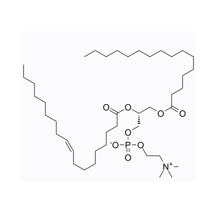 1-棕榈酰基-2-油酰基-sn-甘油-3-磷酸胆碱 (POPC)