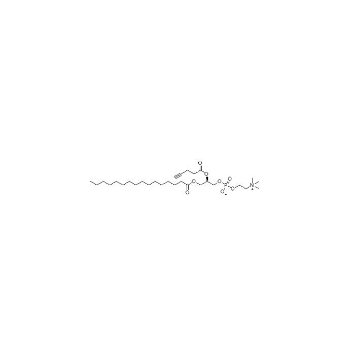 1-棕榈酰基-2-炔丙基乙酰磷脂酰胆碱