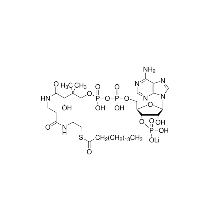 棕榈酰辅酶A锂盐