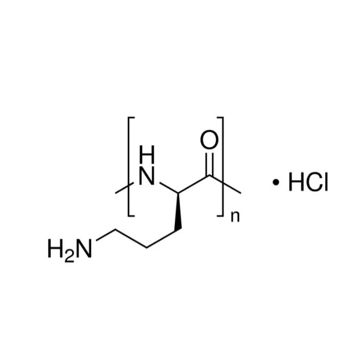 聚-L-鸟氨酸盐酸盐
