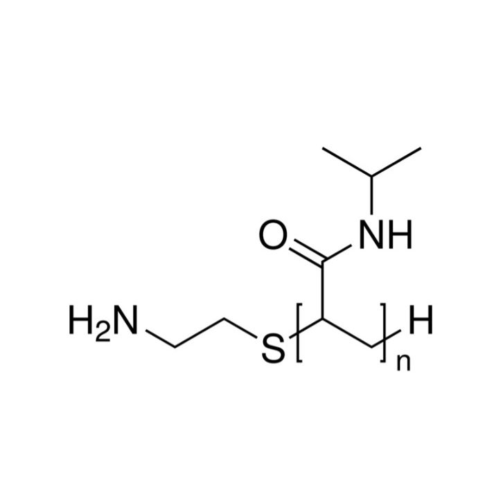 氨封端的聚(N-异丙基丙烯酰胺)
