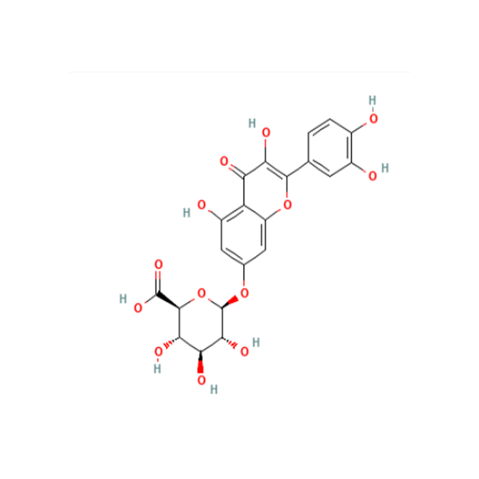 槲皮素7-O-β-D-葡糖醛酸