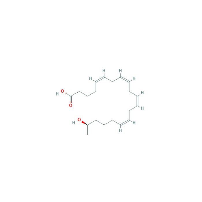 19(R)-HETE