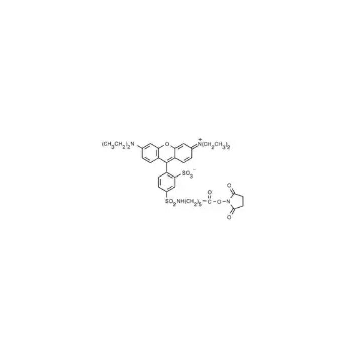 Aladdin Red-X NHS Ester, 5-isomer