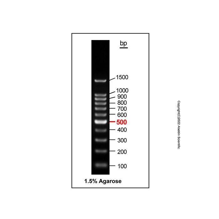 Gelred-prestained DNA Ladder (100-1500bp)