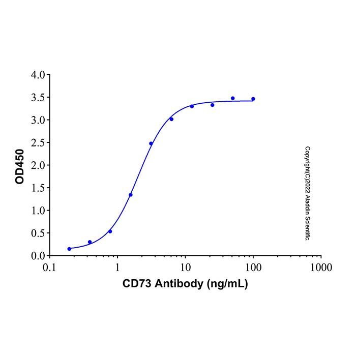 Recombinant Human 5'-nucleotidase/CD73 Protein