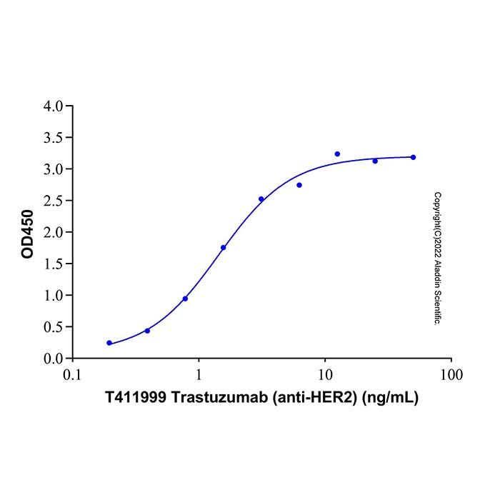 Recombinant Human ErbB2/Her2 Protein