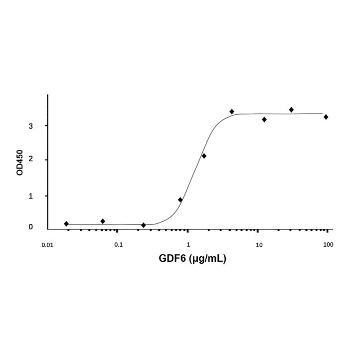 Recombinant Human GDF6 Protein