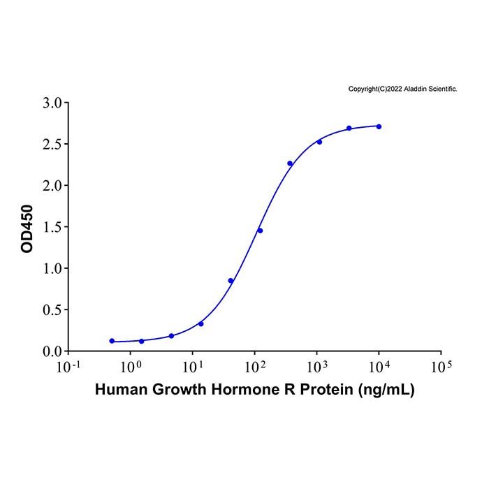 Recombinant Human Growth Hormone (GH) Protein