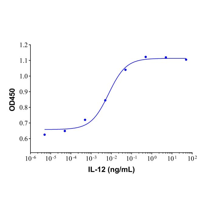 Recombinant Human IL-12 Protein