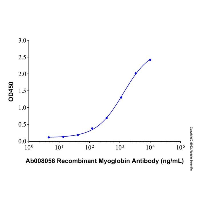 Recombinant Human Myoglobin Protein