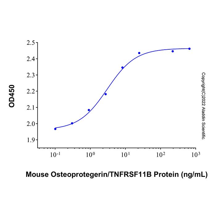 Recombinant Mouse Osteoprotegerin/TNFRSF11B Protein