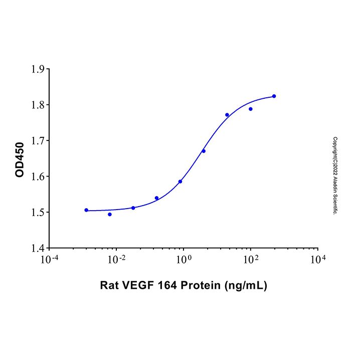 Recombinant Rat VEGF 164 Protein