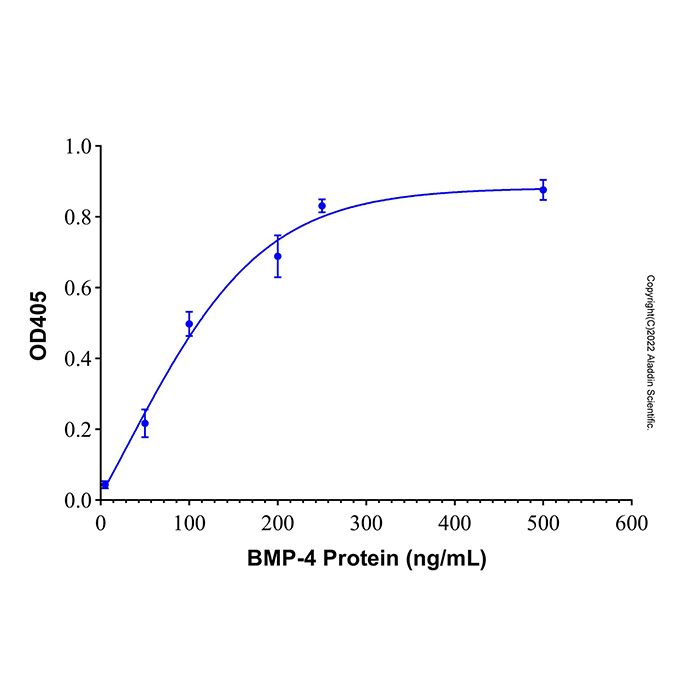Recombinant Human BMP-4 GMP Protein