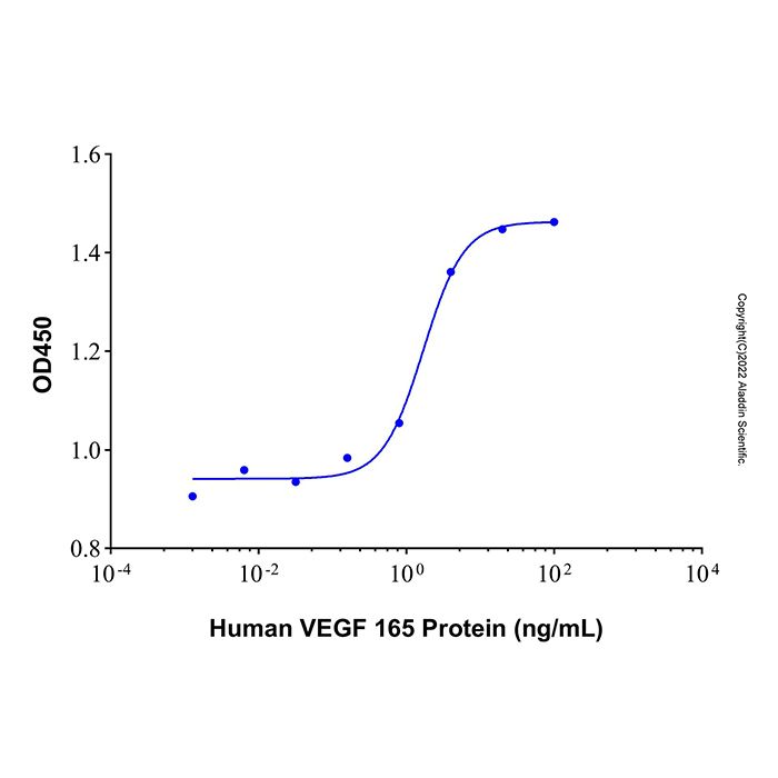 Recombinant Human VEGF 165 Protein