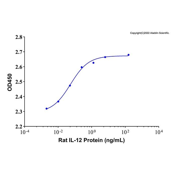 Recombinant Rat IL-12 Protein