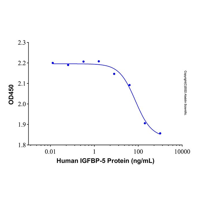 Recombinant Human IGFBP-5 Protein