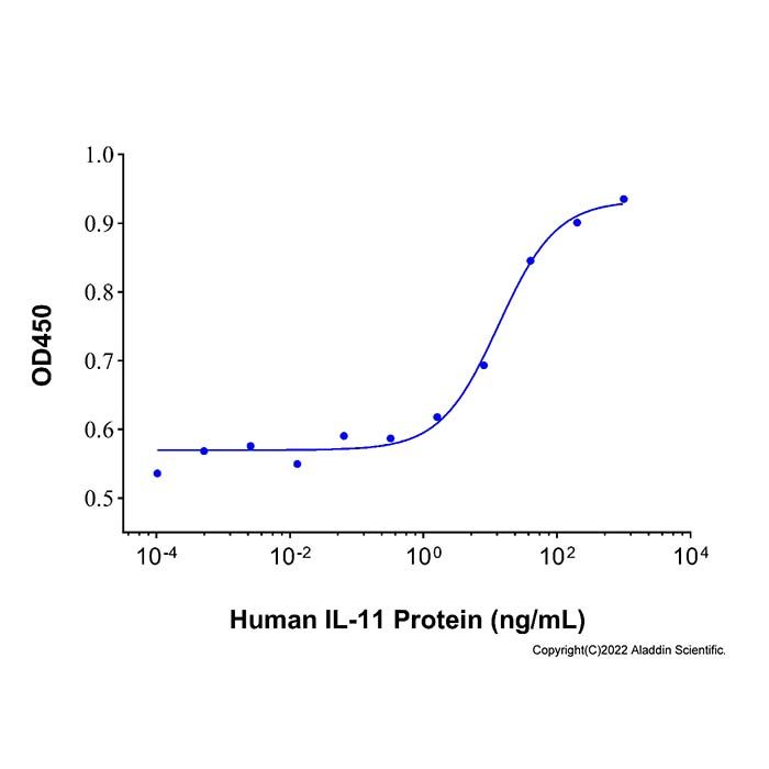 Recombinant Human IL-11 Protein