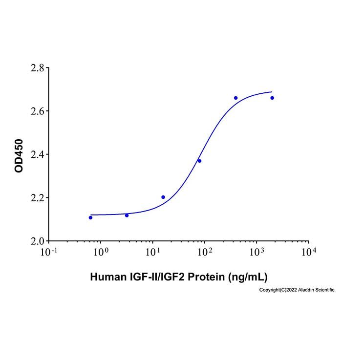 Recombinant Human IGF-II/IGF2 Protein