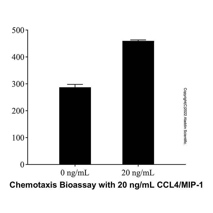 Recombinant Human CCL4/MIP-1 beta Protein