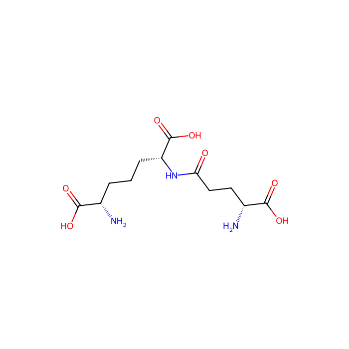 γ-iE-DAP