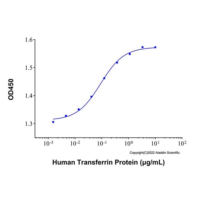 Recombinant Human Transferrin Protein 