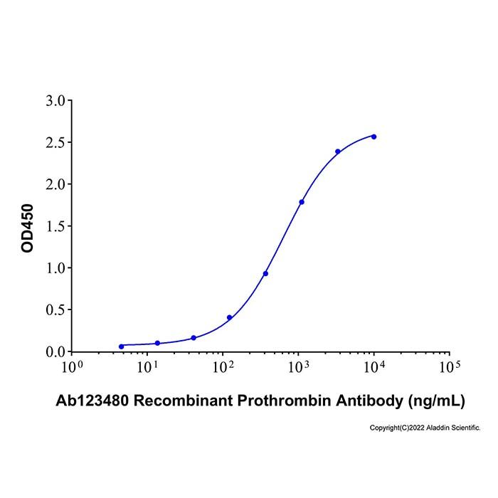 Recombinant Human Coagulation Factor II/Prothrombin Protein