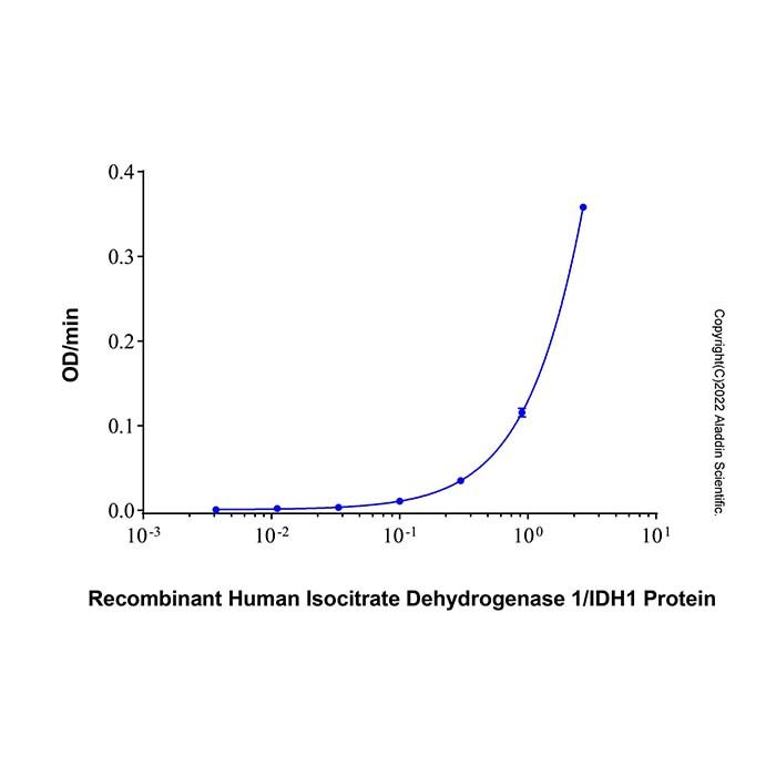 Recombinant Human Isocitrate Dehydrogenase 1/IDH1 Protein