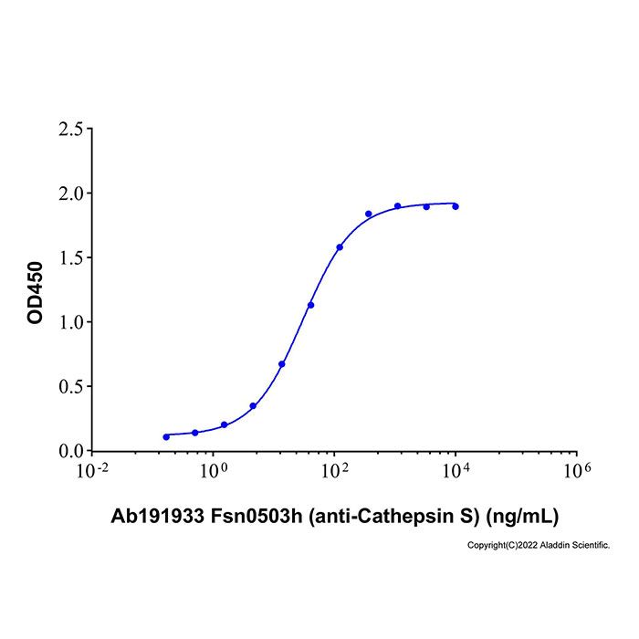 Recombinant Human Cathepsin S Protein