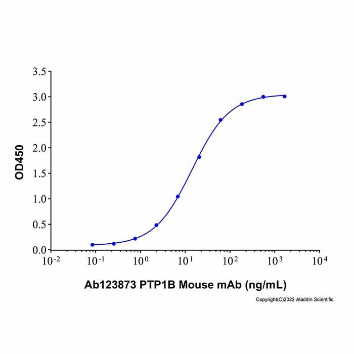 Recombinant Human PTP1B Protein