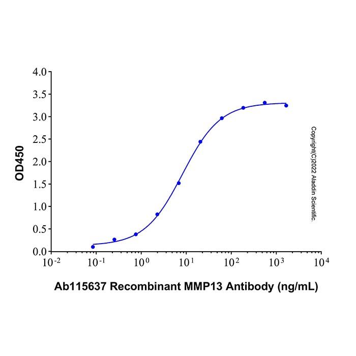 Recombinant Human MMP-13 Protein