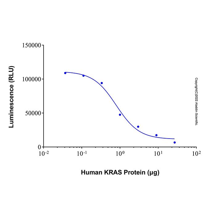 Recombinant Human KRAS Protein