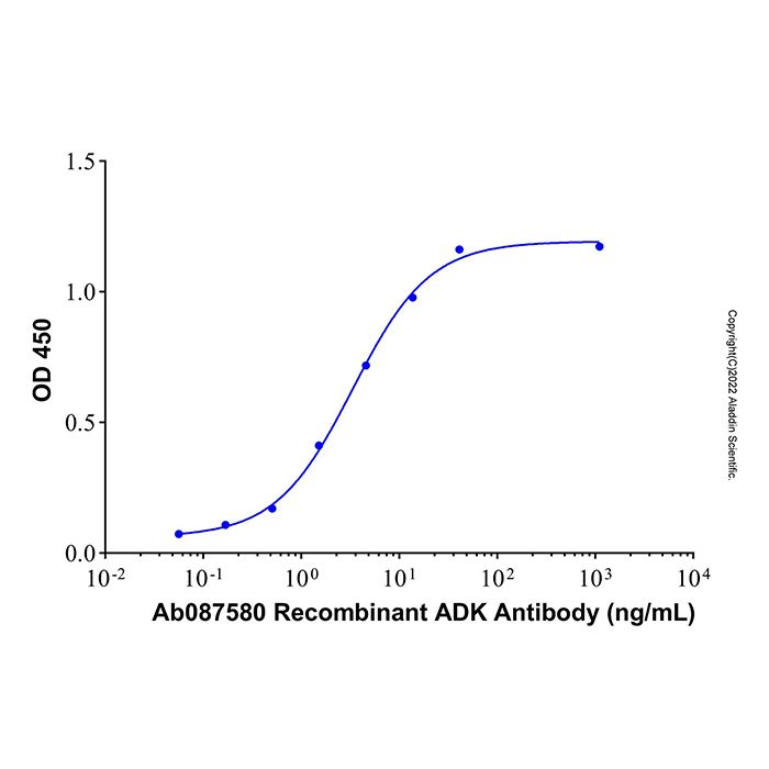 Recombinant Human Adenosine Kinase/ADK Protein