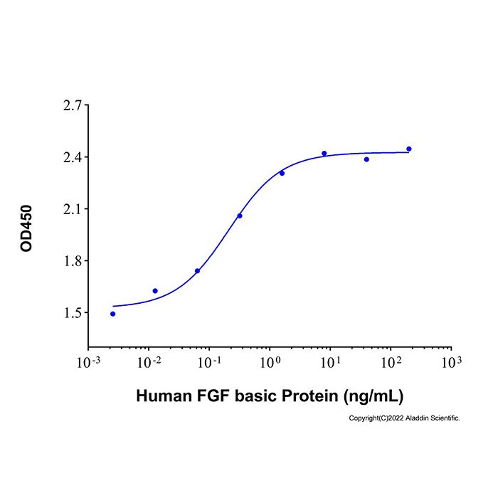 Recombinant Human FGF basic/FGF2 Protein