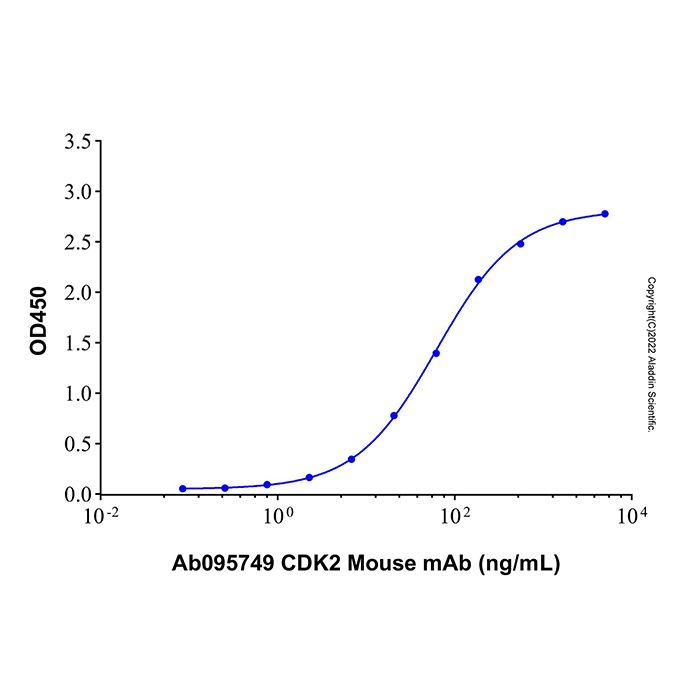 Recombinant Human CDK2 Protein