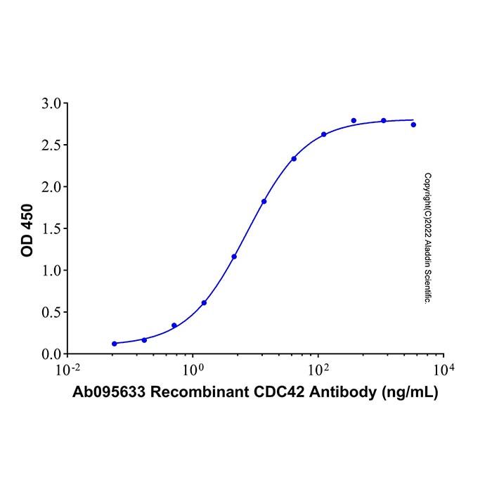 Recombinant Human CDC42 Protein