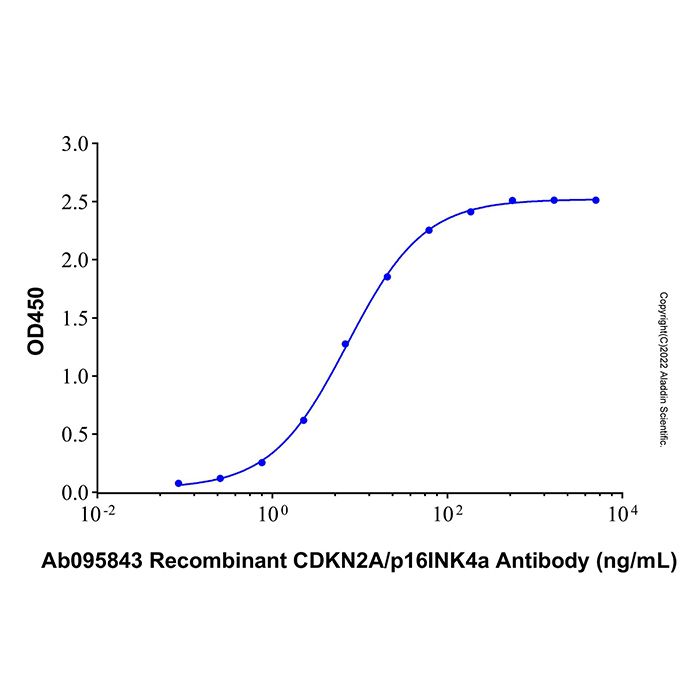 Recombinant Human CDKN2A/p16INK4a Protein