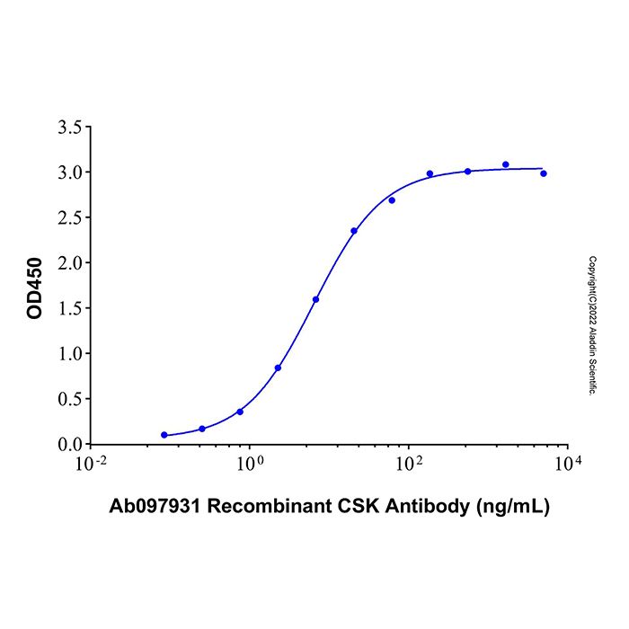 Recombinant Human CSK Protein
