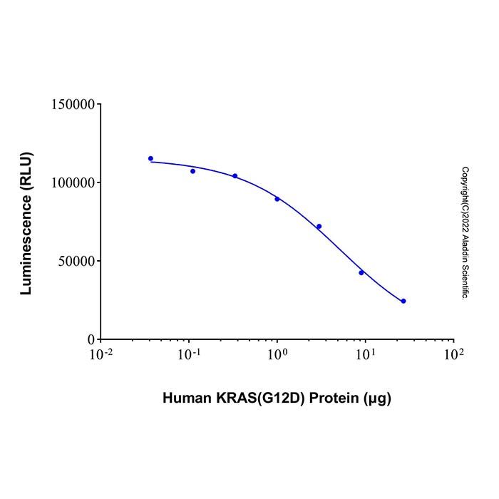 Recombinant Human KRAS (G12D) Protein
