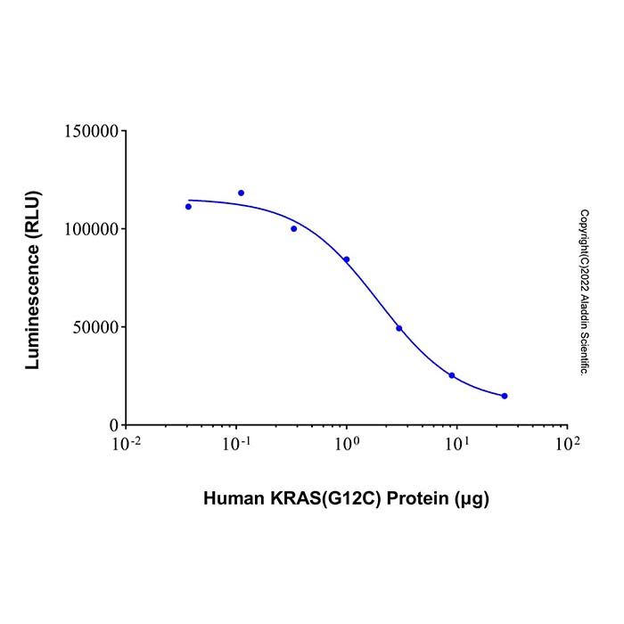Recombinant Human KRAS (G12C) Protein