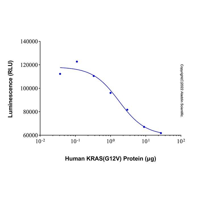 Recombinant Human KRAS (G12V) Protein