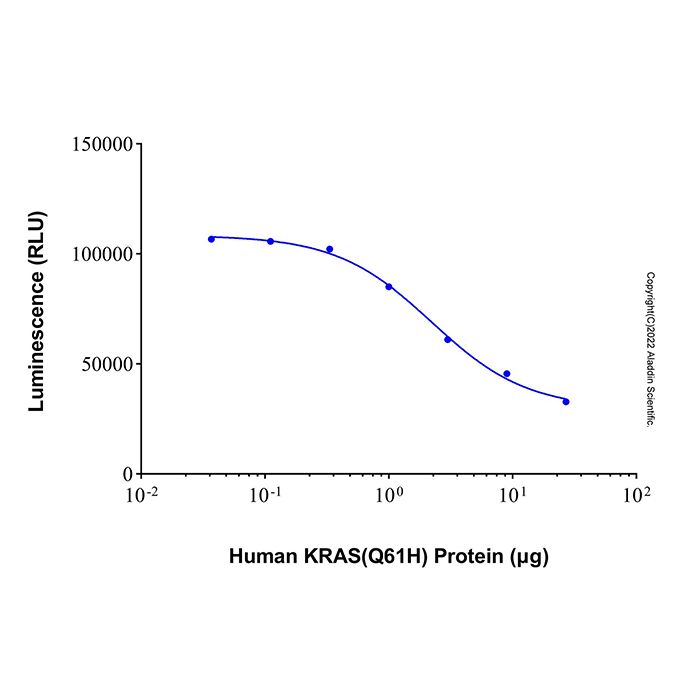 Recombinant Human KRAS (Q61H) Protein