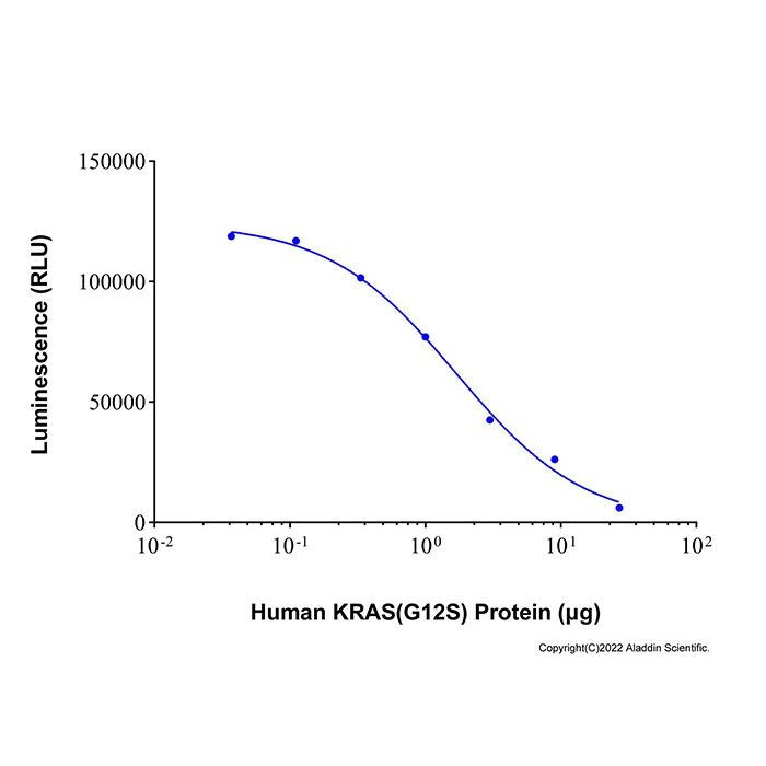 Recombinant Human KRAS (G12S) Protein